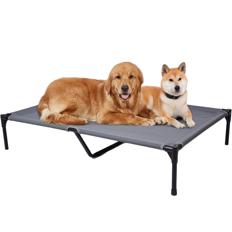 Elevated dog beds for large dogs hot sale